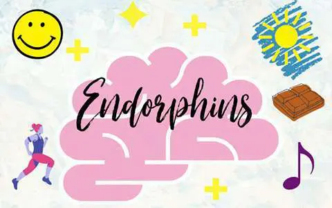 Endorphins