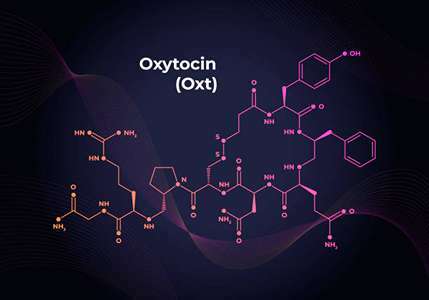 Oxytocin – The Love Hormone